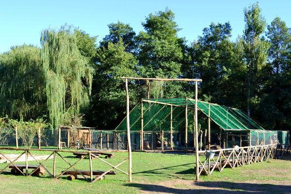 Agriturismo La Sorgente Di Nepi Hotel Екстериор снимка